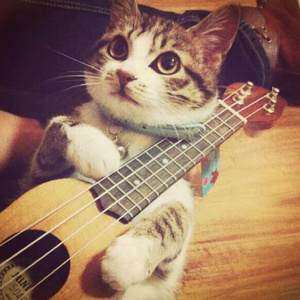 日日夜夜操视频
